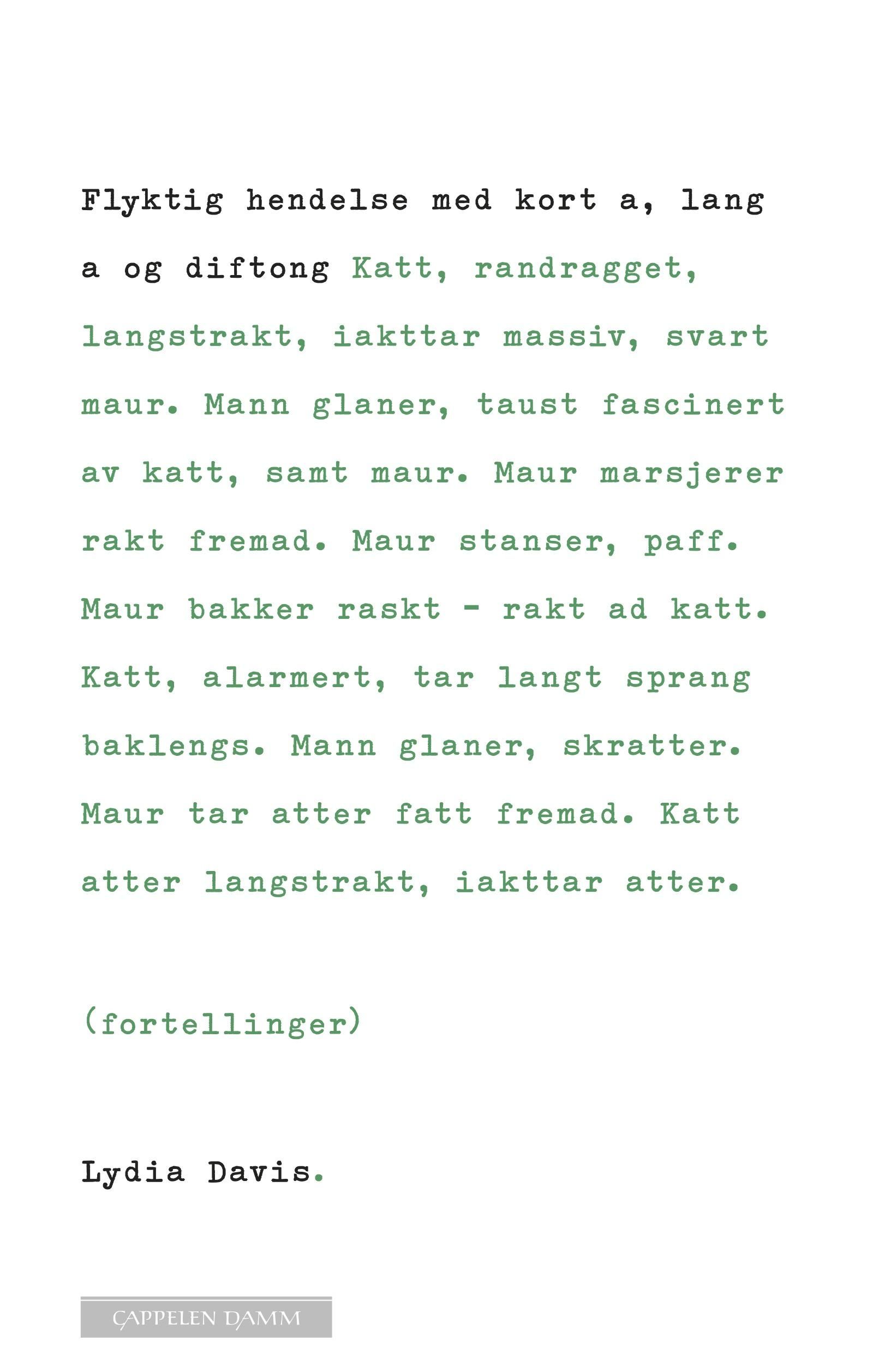 "Flyktig hendelse med kort a, lang a og diftong - fortellinger" av Lydia Davis