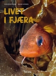 Omslagsbilde av Livet i fjæra