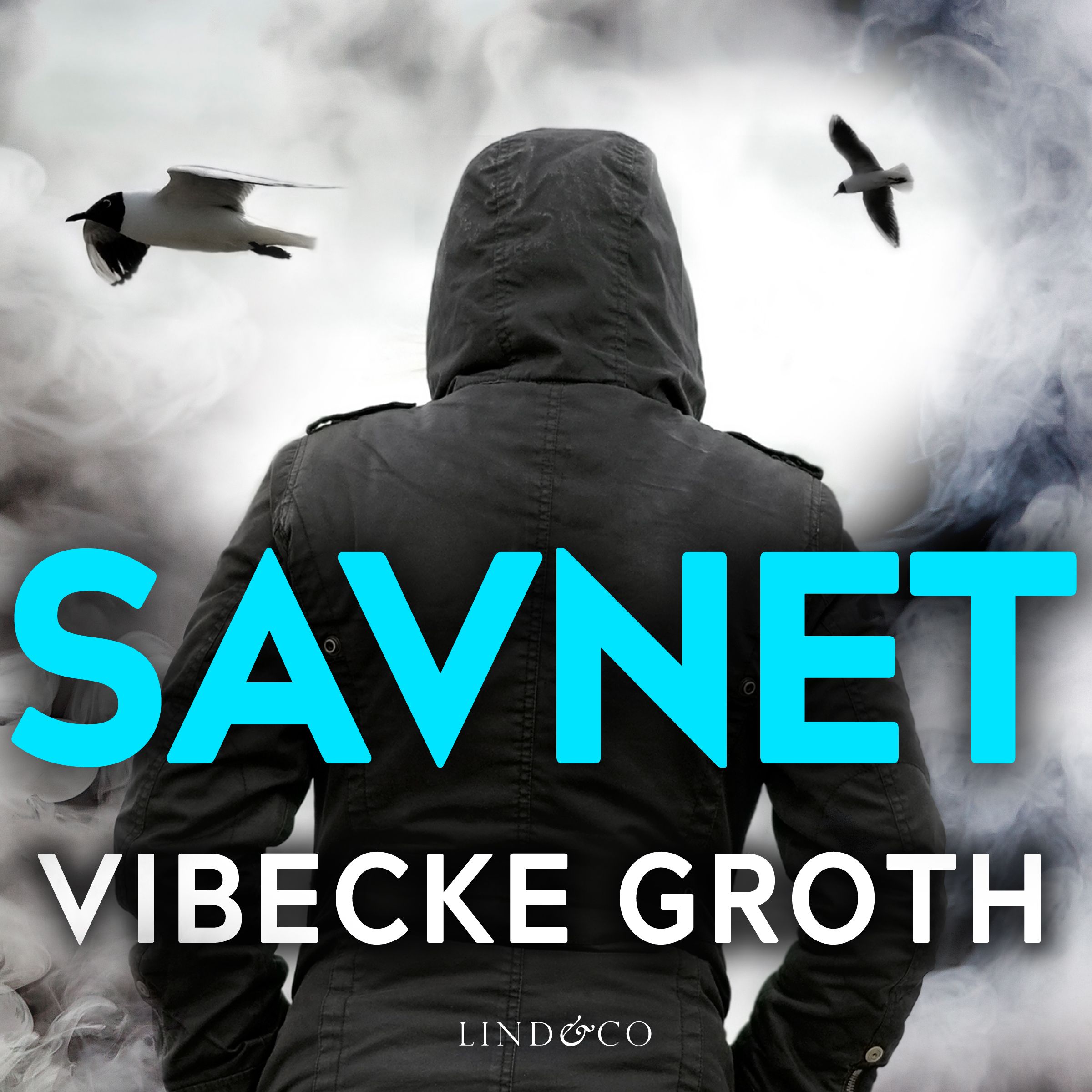 "Savnet" av Vibecke Groth