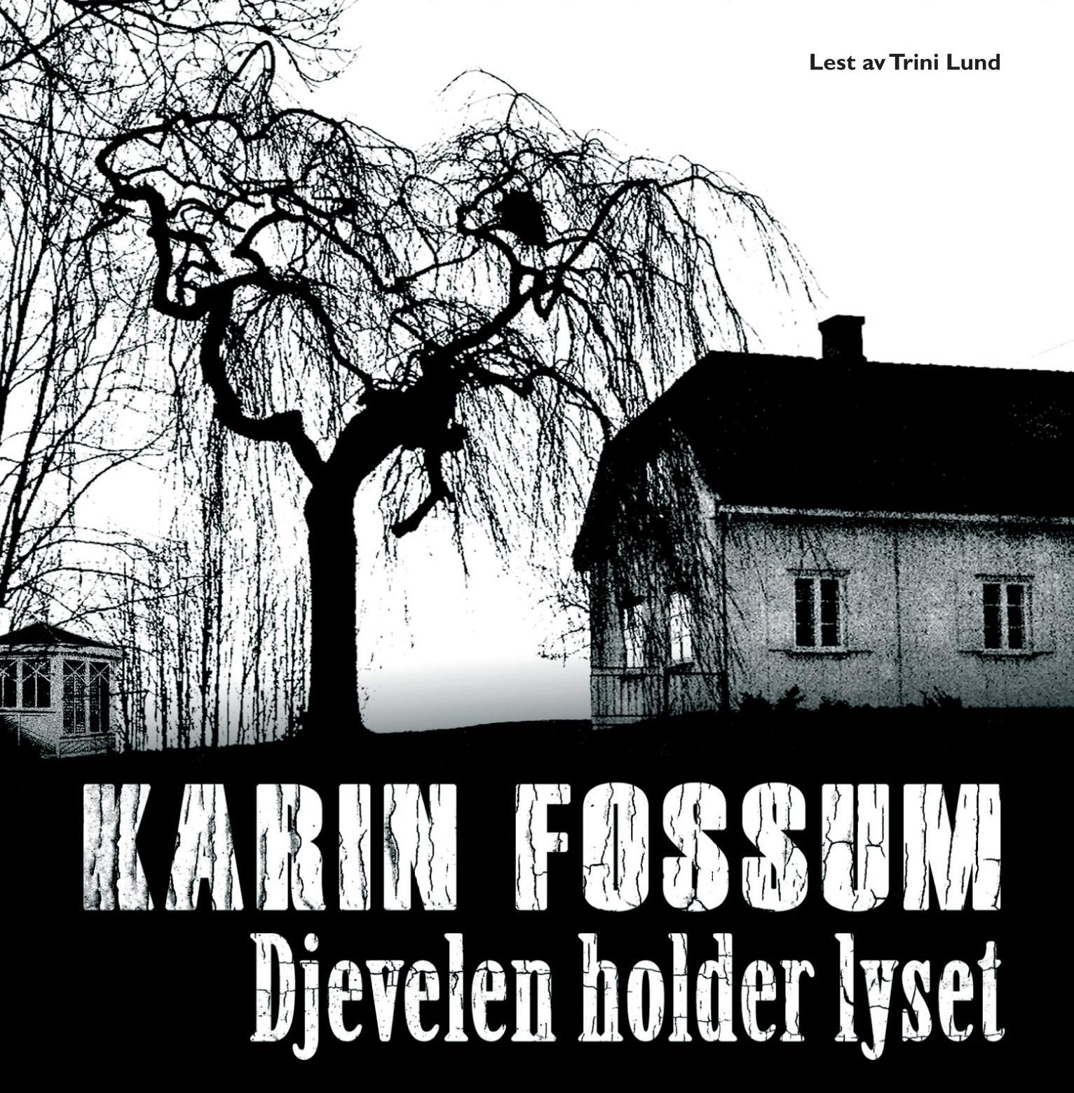 "Djevelen holder lyset" av Karin Fossum