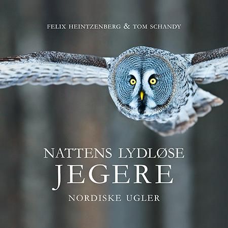 "Nattens lydløse jegere - nordiske ugler" av Felix Heintzenberg