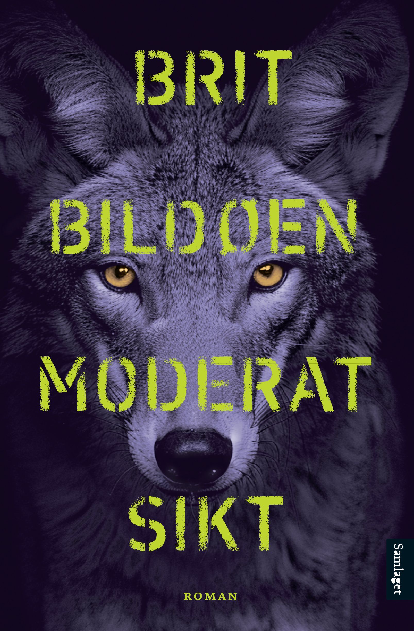 "Moderat sikt" av Brit Bildøen