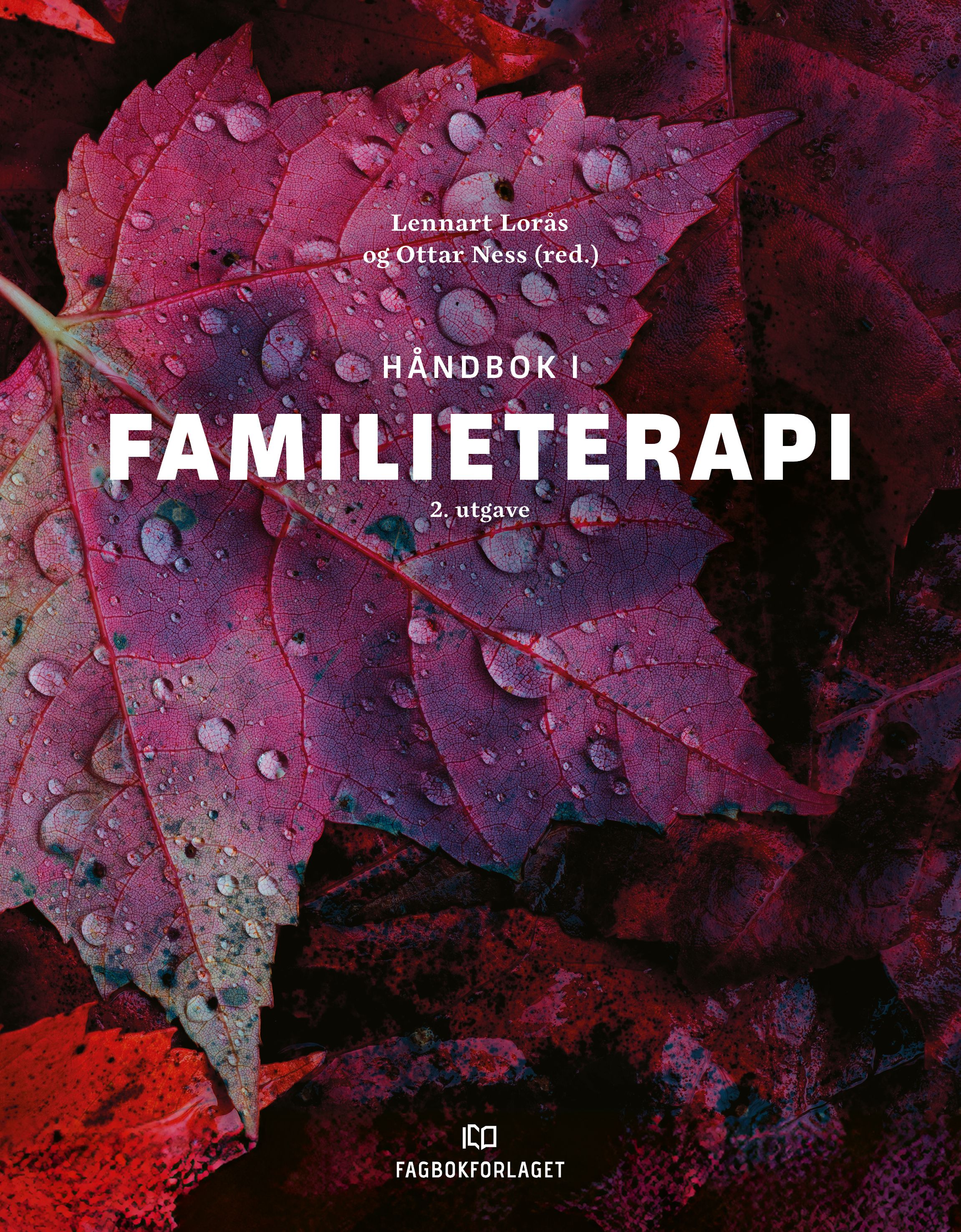 "Håndbok i familieterapi" av Lennart Lorås