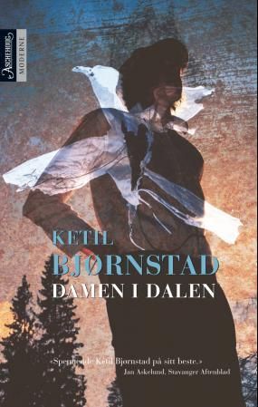 "Damen i dalen - roman" av Ketil Bjørnstad