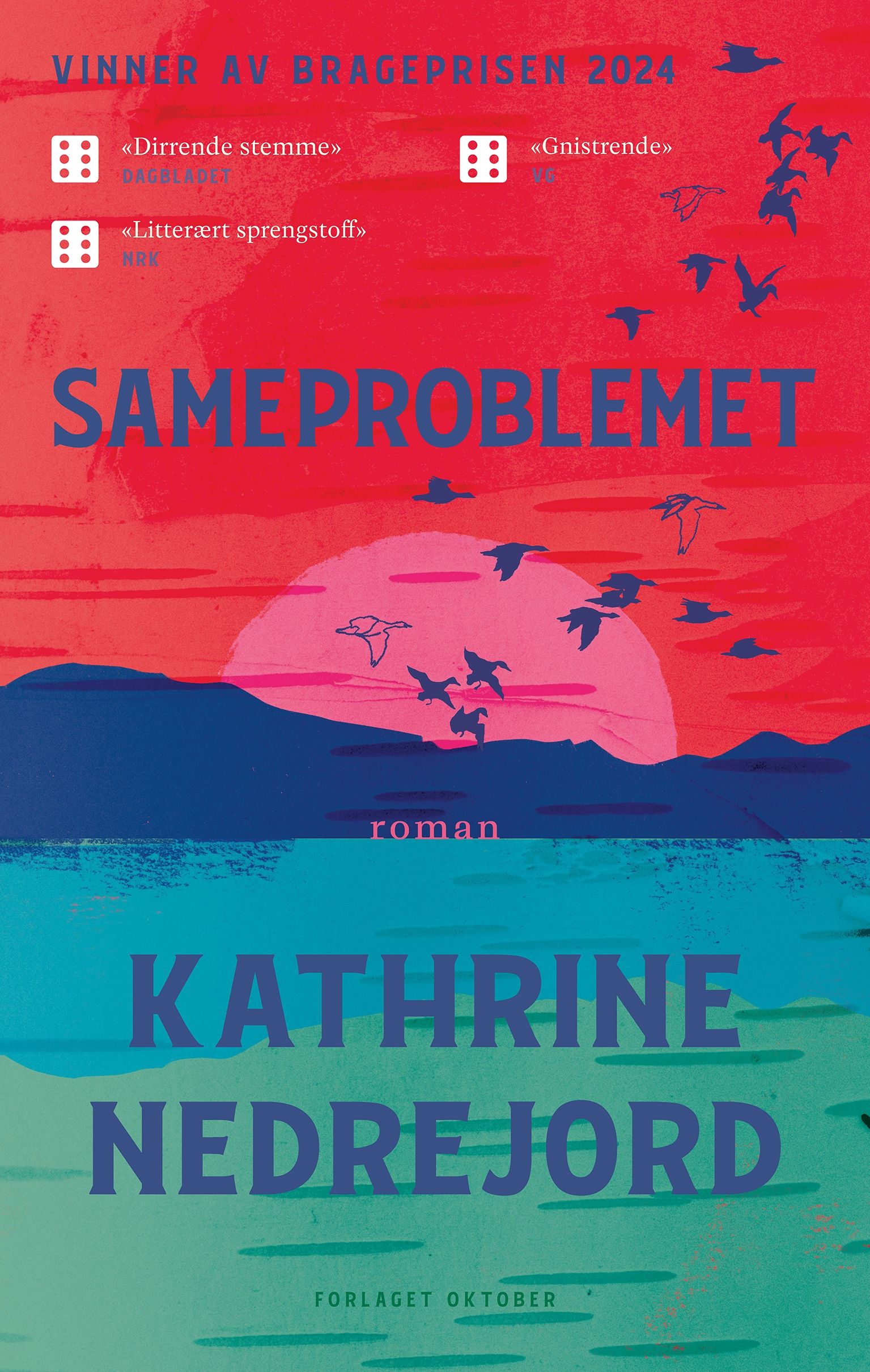 "Sameproblemet - roman" av Kathrine Nedrejord