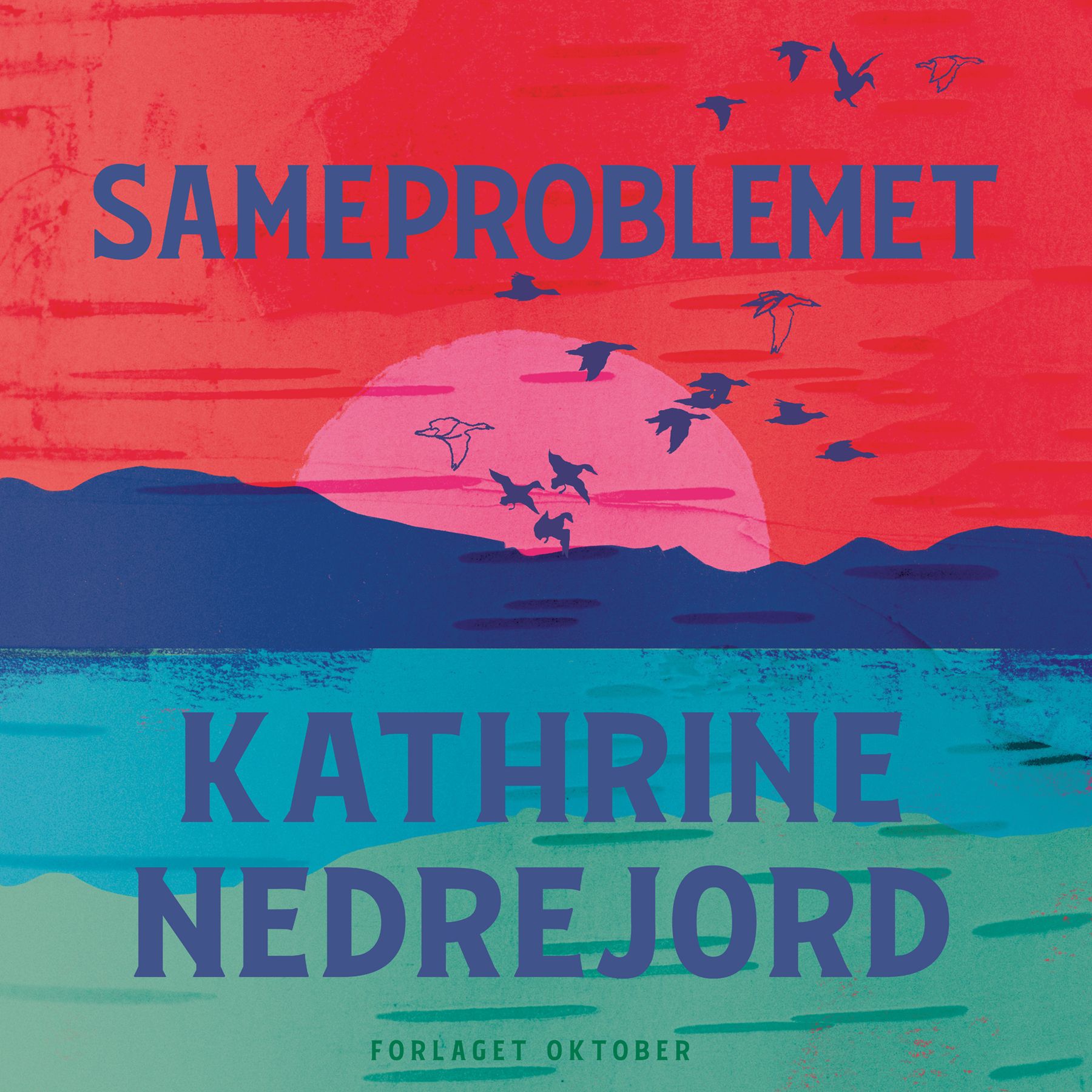 "Sameproblemet" av Kathrine Nedrejord