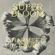 "Superbloom" av Harmeet Kaur