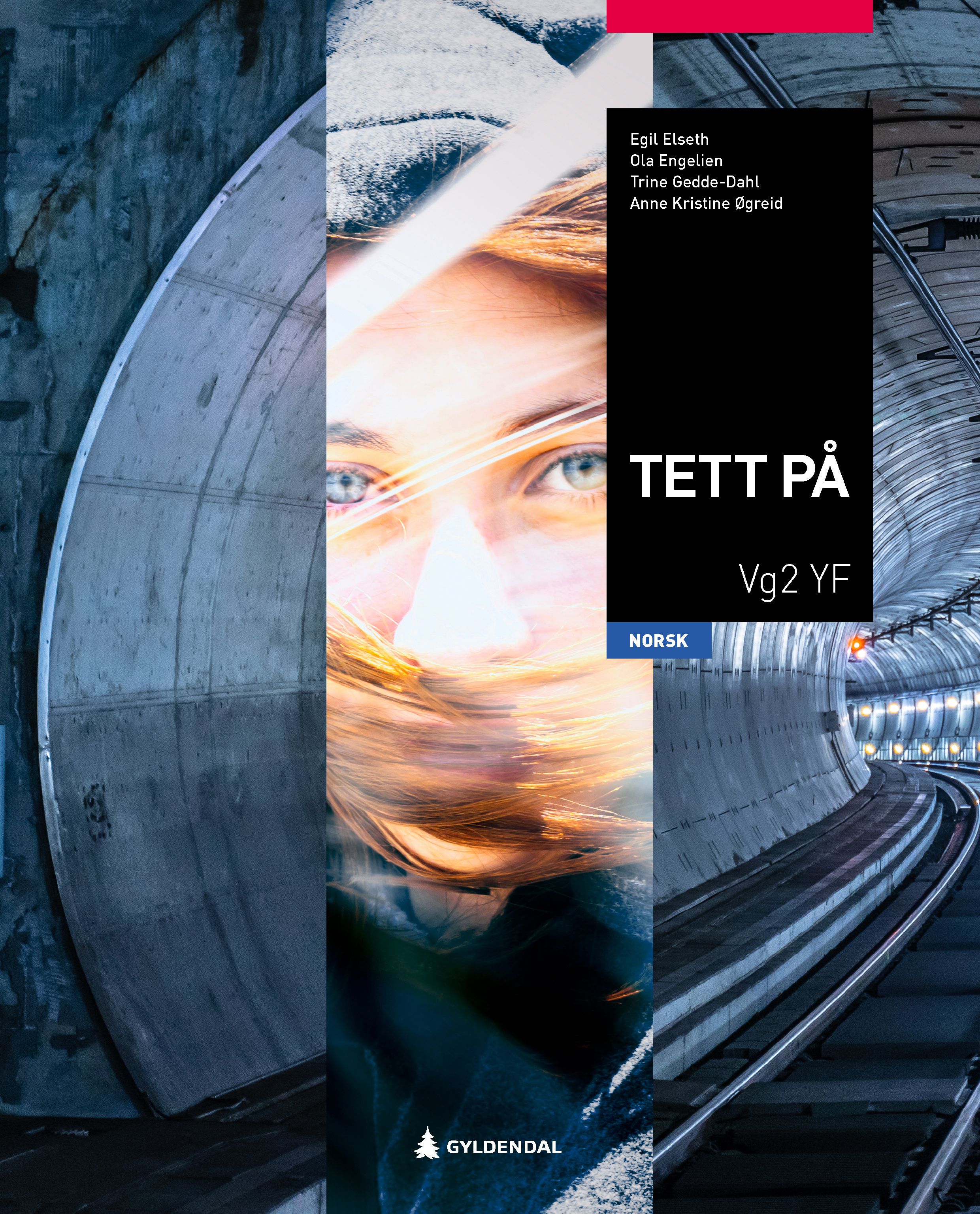 "Tett på - vg2 : norsk for yrkesfag" av Egil Elseth
