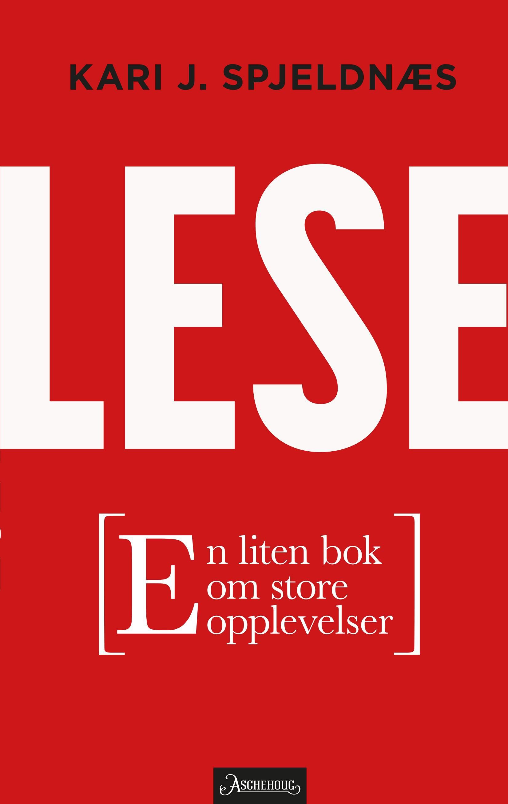 "Lese - en liten bok om store opplevelser" av Kari J. Spjeldnæs