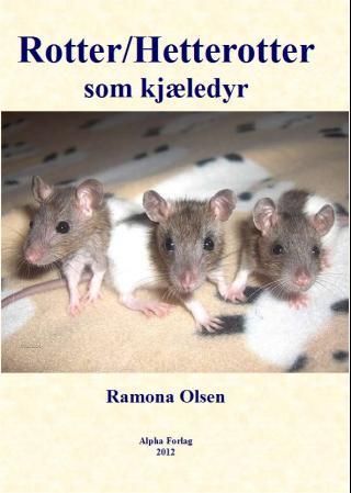 "Rotter/hetterotter som kjæledyr" av Ramona Olsen