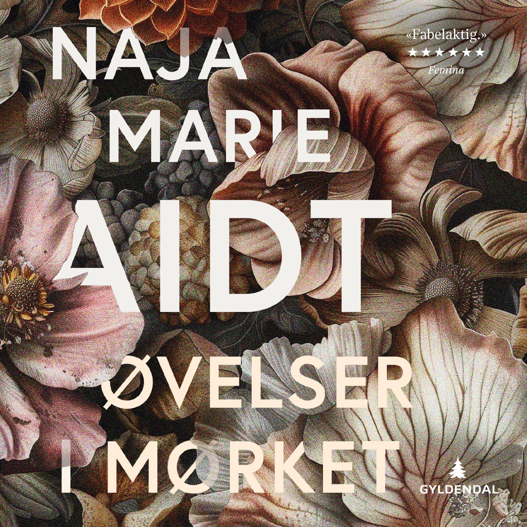 "Øvelser i mørket - roman" av Naja Marie Aidt