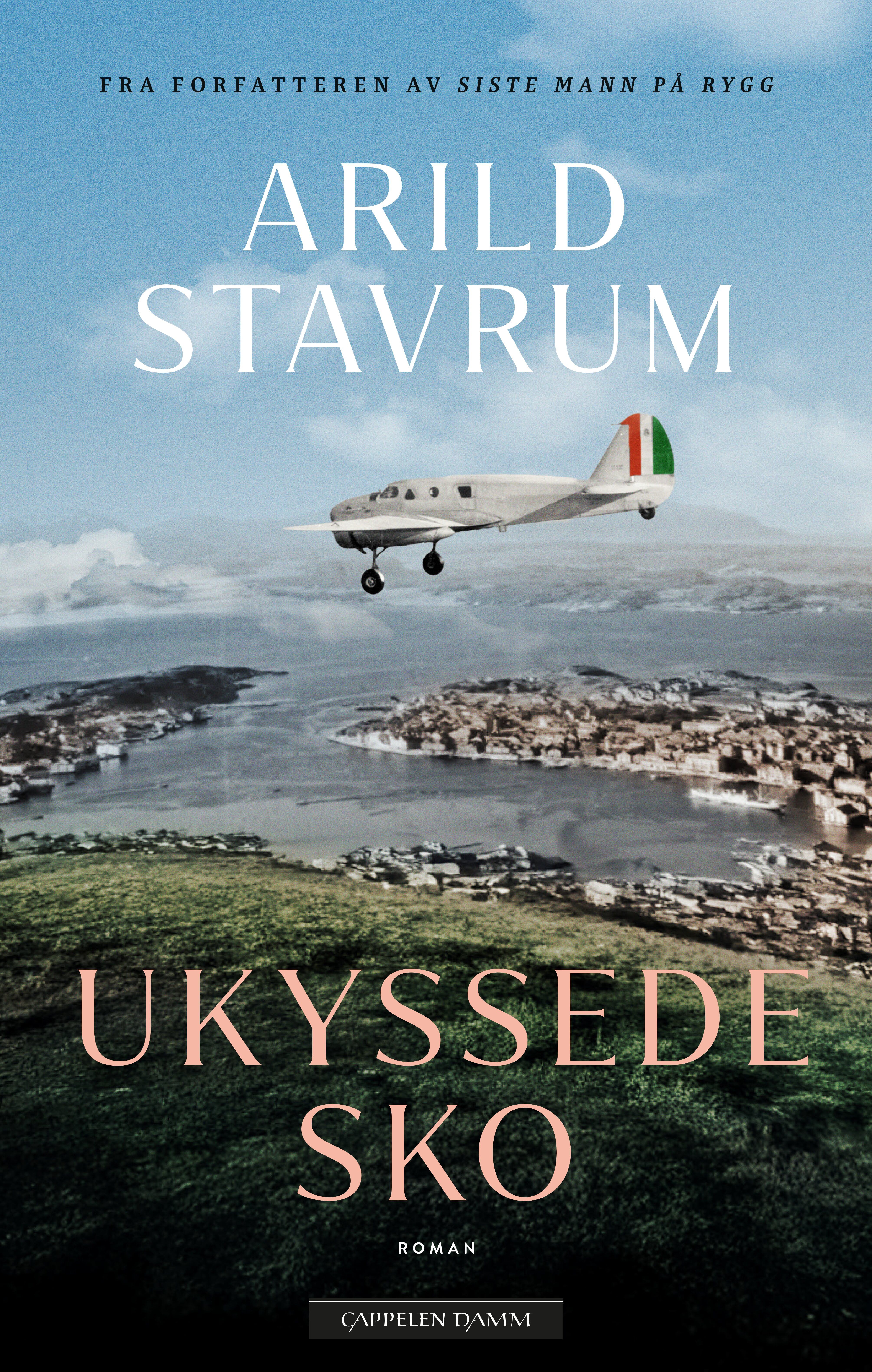 "Ukyssede sko" av Arild Stavrum