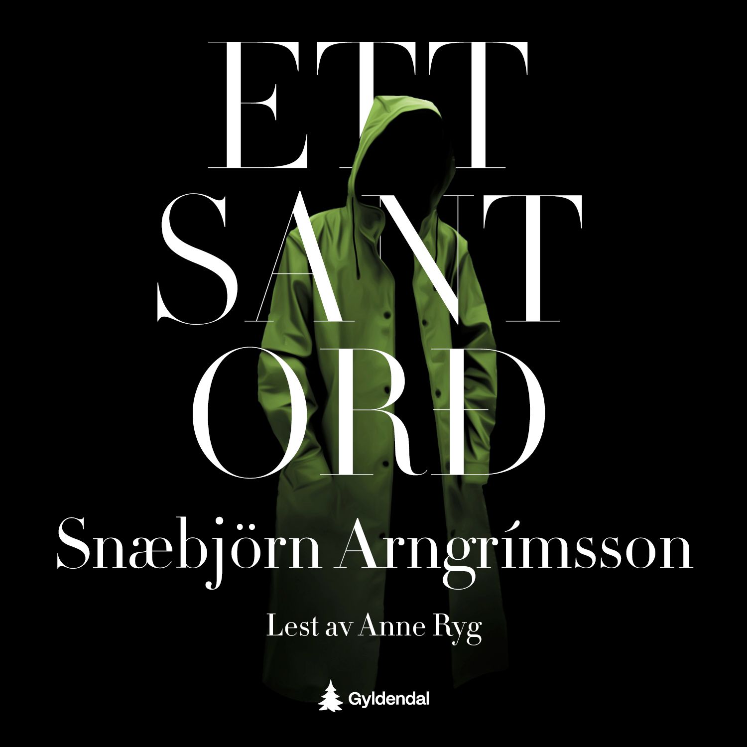 "Ett sant ord" av Snæbjörn Arngrímsson