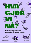 Omslagsbilde av Hva gjør vi nå?