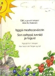Omslagsbilde av Inggá meahccevázzin
