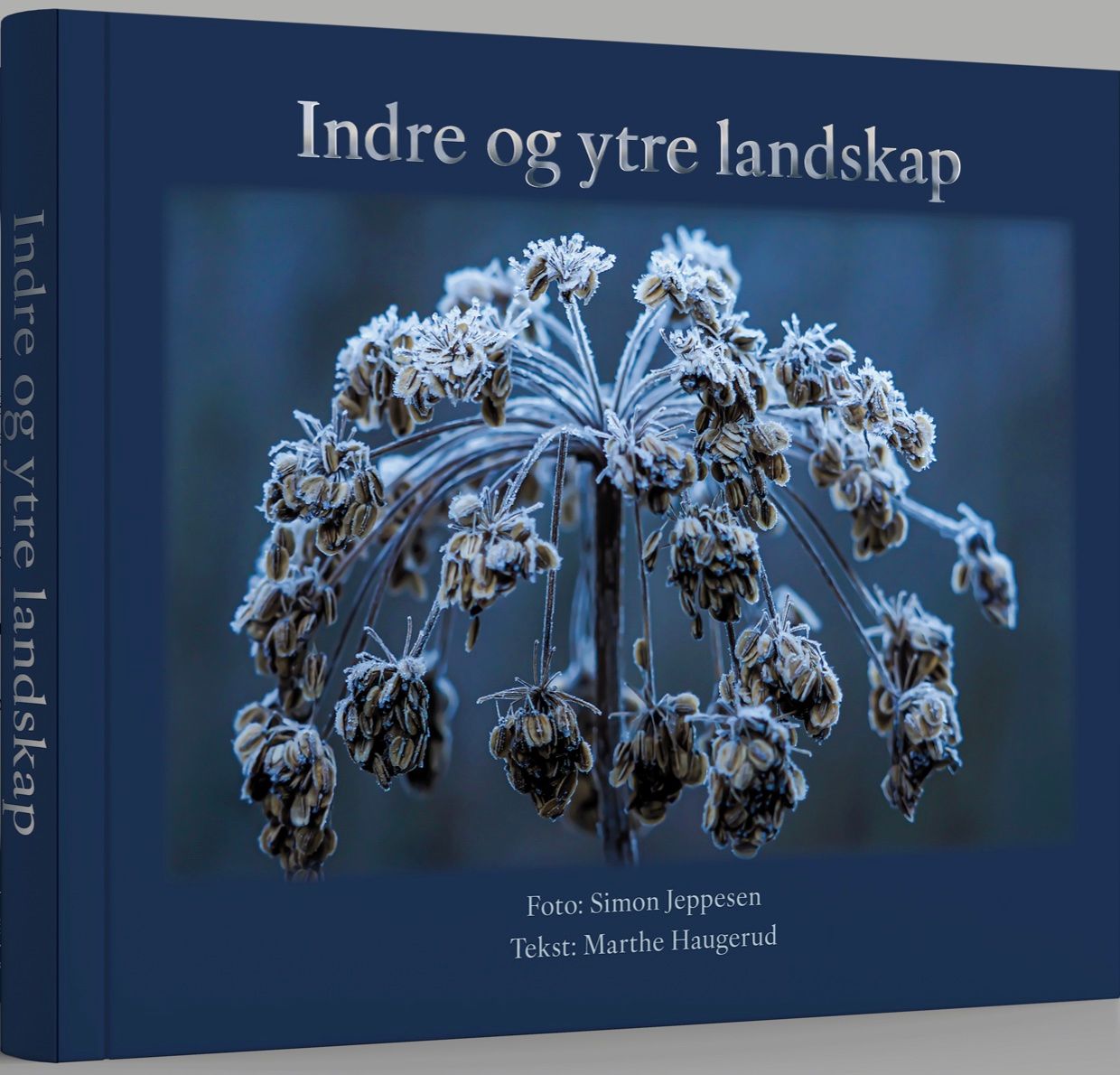 "Indre og ytre landskap" av Marthe Haugerud