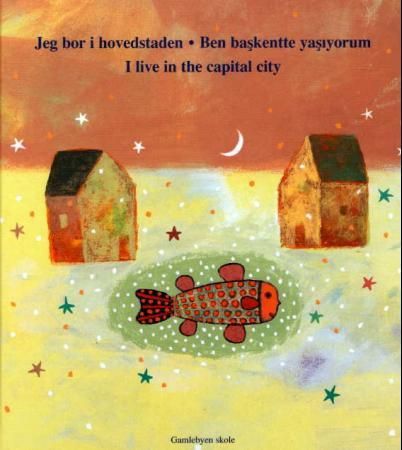 "Jeg bor i hovedstaden" av Akin Düzakin