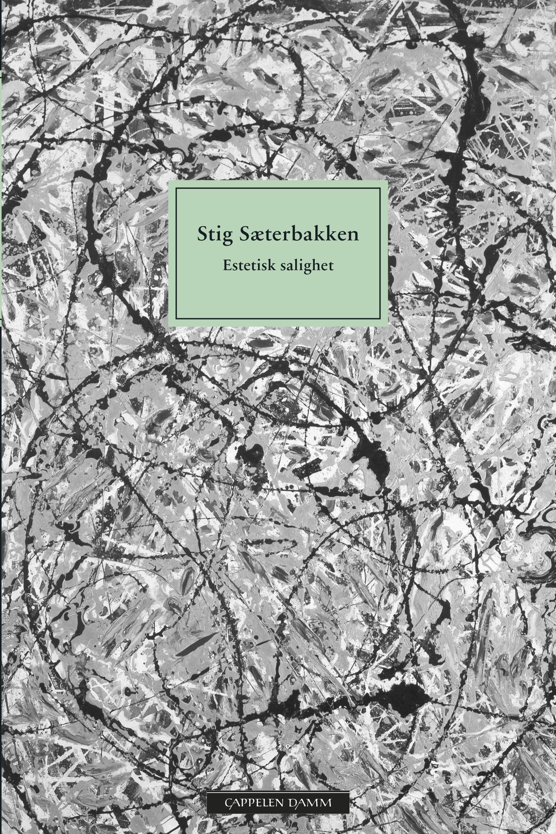 "Estetisk salighet" av Stig Sæterbakken