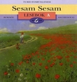 "Sesam Sesam 6A - lesebok" av Turid Fosby Elsness