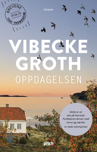 "Oppdagelsen" av Vibecke Groth