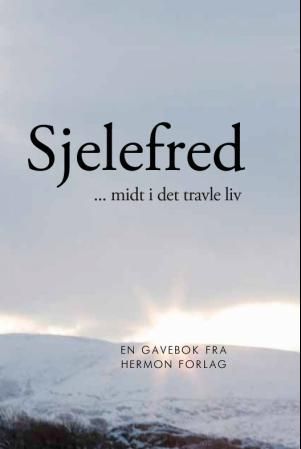 "Sjelefred - midt i det travle liv" av Richard Exley