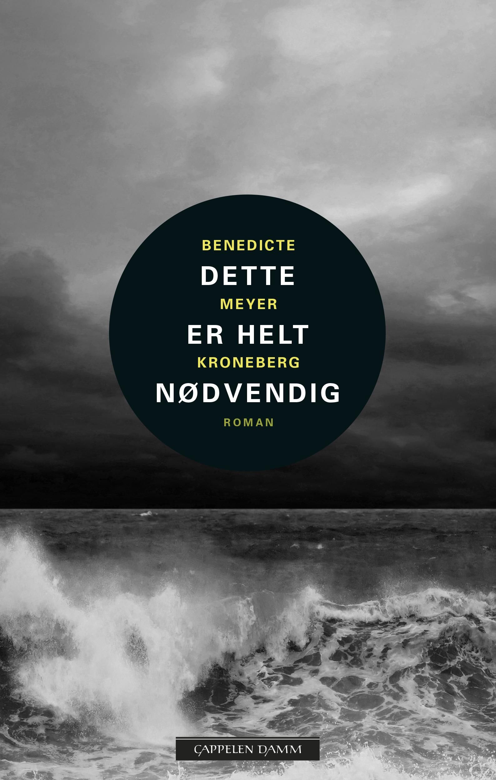 "Dette er helt nødvendig" av Benedicte Meyer Kroneberg