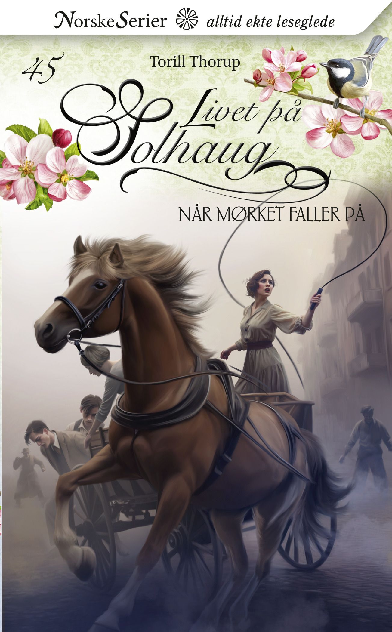 "Når mørket faller på" av Torill Thorup