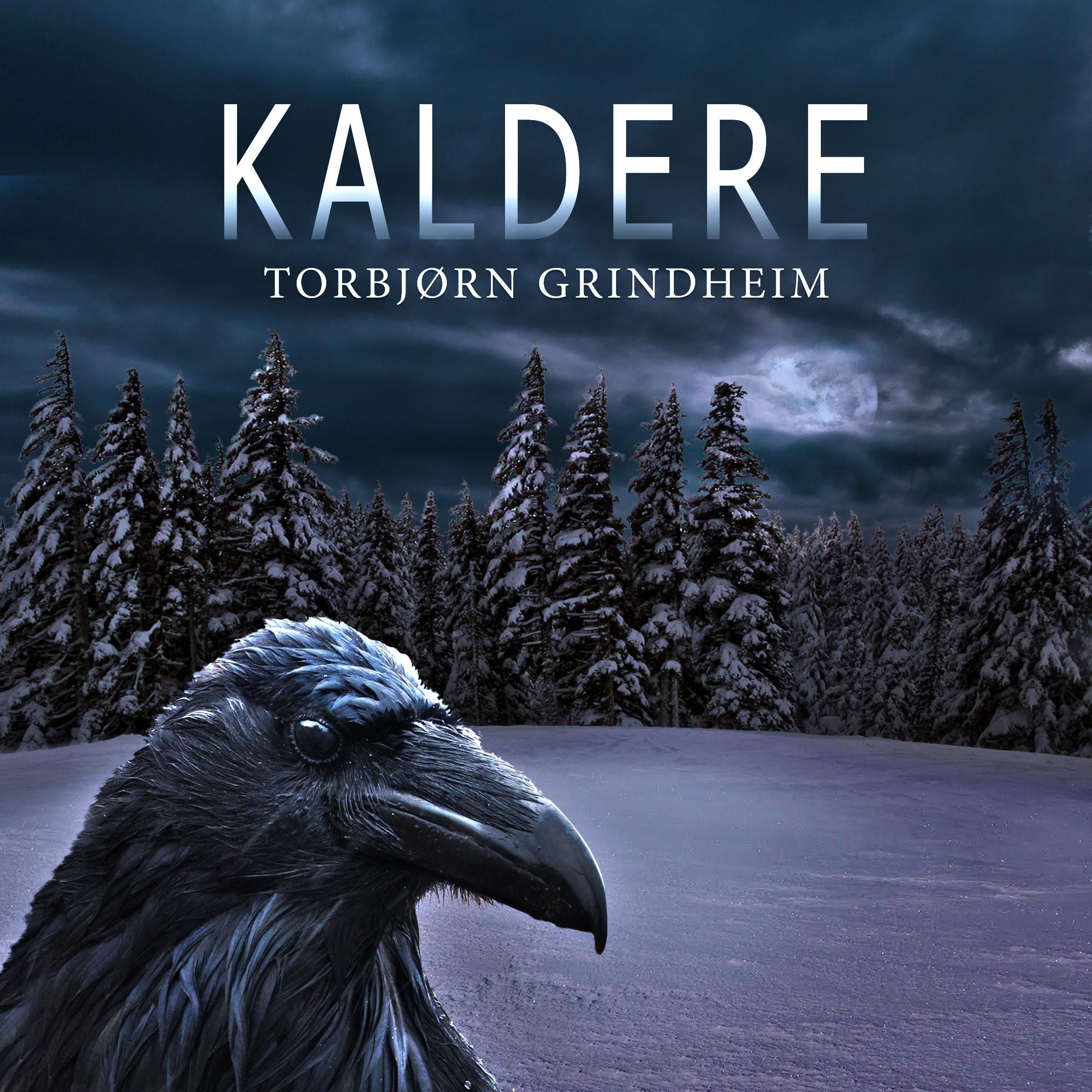 "Kaldere" av Torbjørn Grindheim