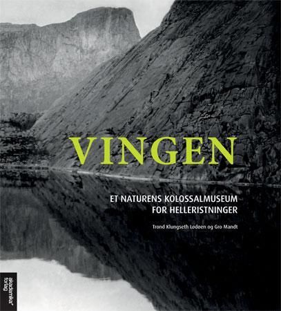 "Vingen - et naturens kolossalmuseum for helleristninger" av Trond Klungseth Lødøen