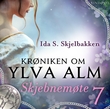 "Skjebnemøte" av Ida S. Skjelbakken