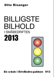 "Billigste bilhold i småbedriften 2013" av Otto Risanger