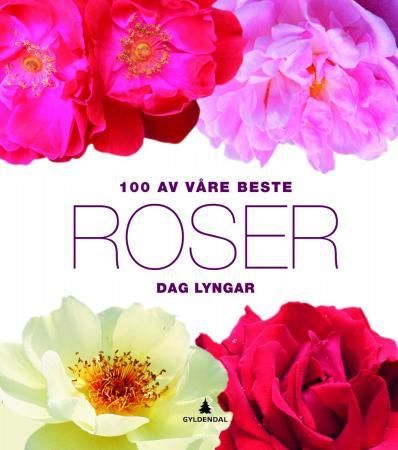 "100 av våre beste roser" av Dag Lyngar