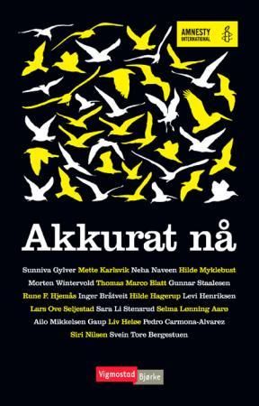 "Akkurat nå" av Amnesty International, Norsk avd.