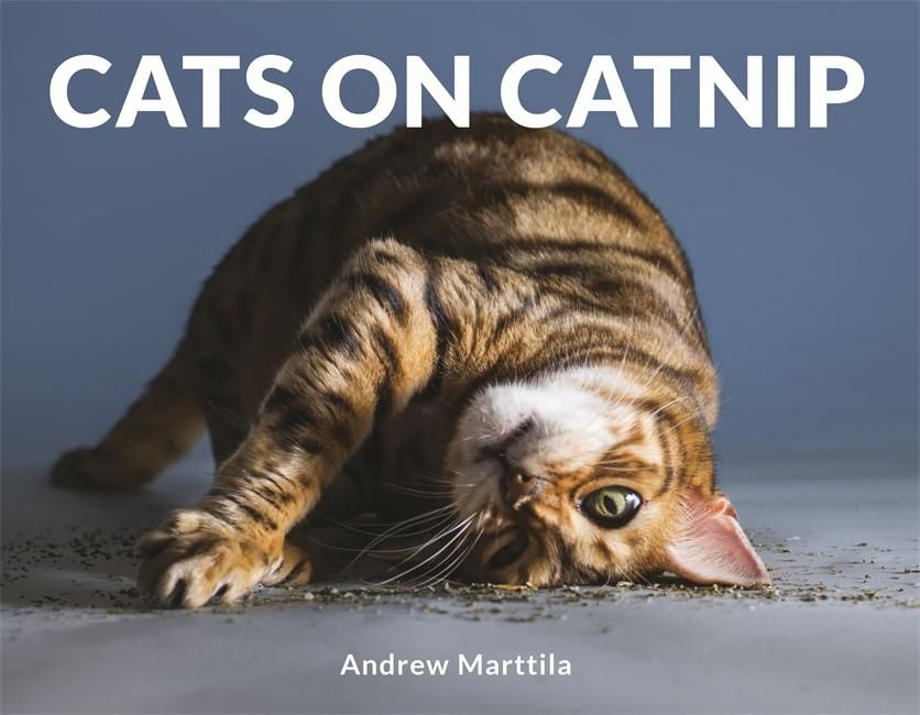 "Cats on catnip" av Andrew Marttila