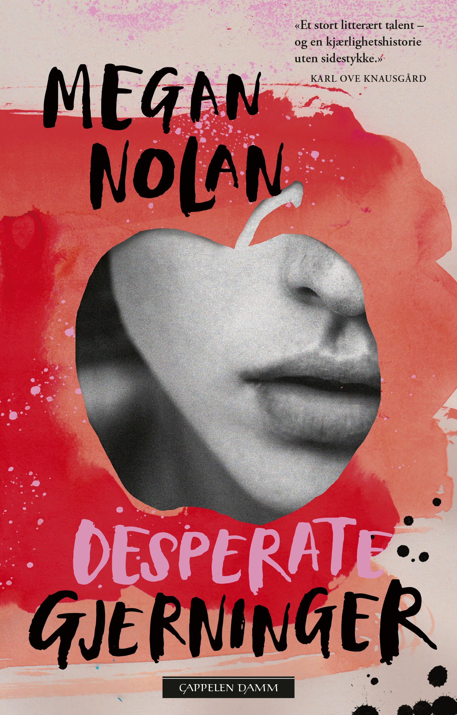 "Desperate gjerninger" av Megan Nolan