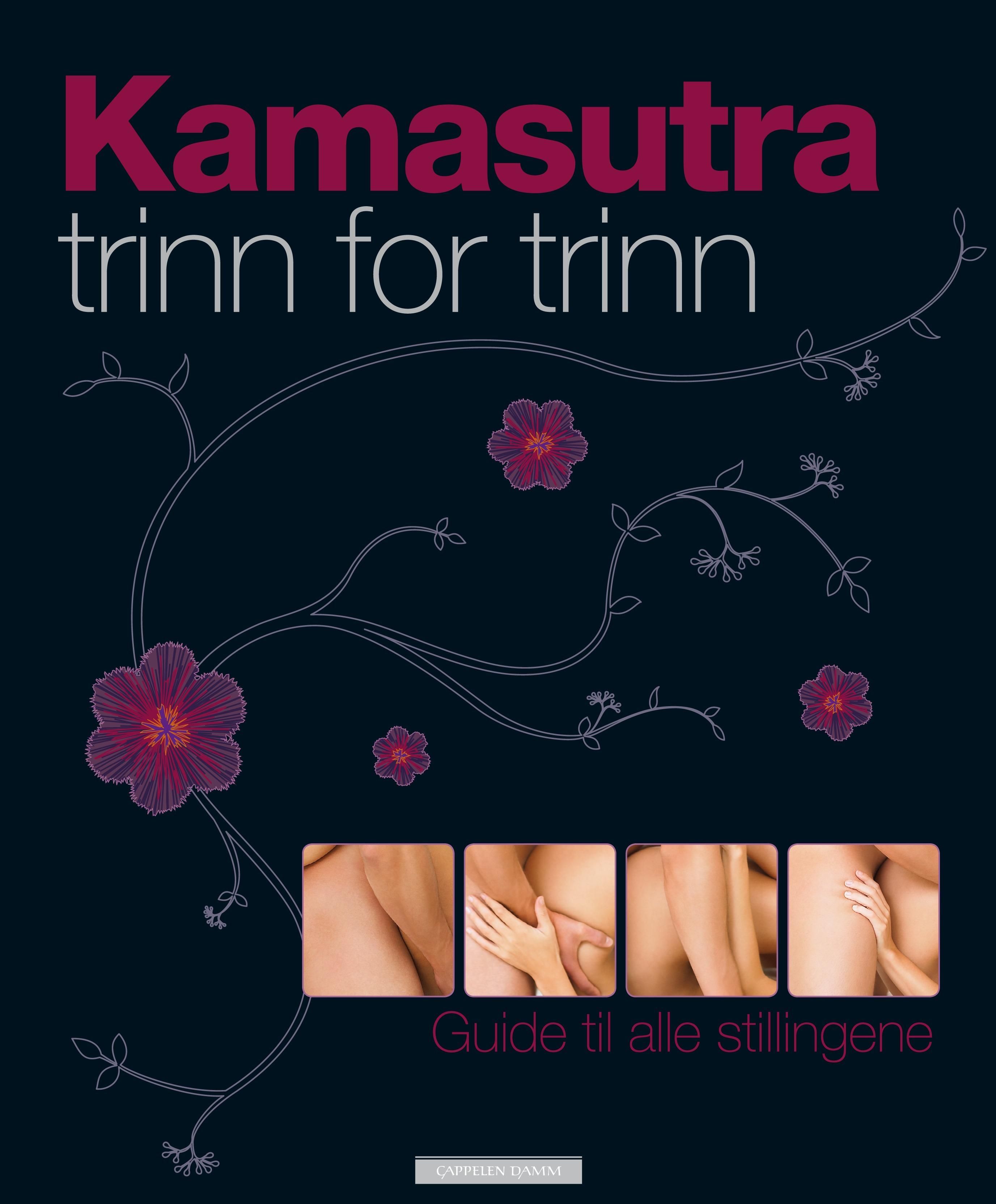 "Kamasutra - trinn for trinn : guide til alle stillingene" av Daniel Mills