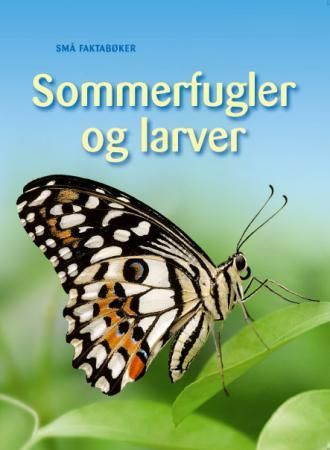 "Sommerfugler og larver" av Stephanie Turnbull