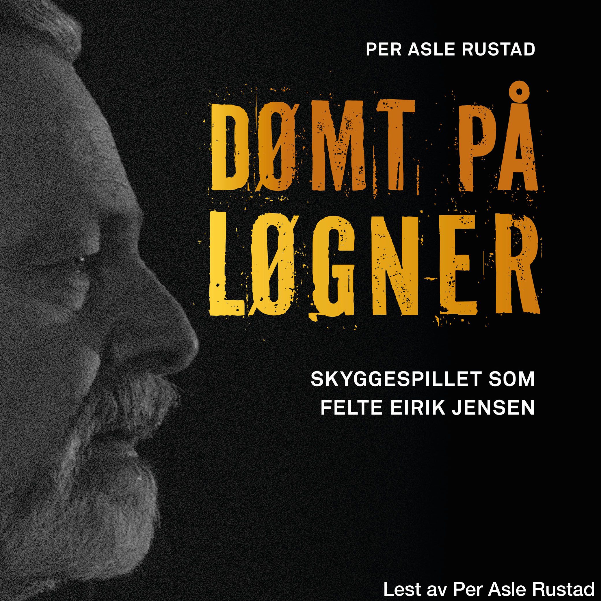 "Dømt på løgner - skyggespillet som felte Eirik Jensen" av Per Asle Rustad