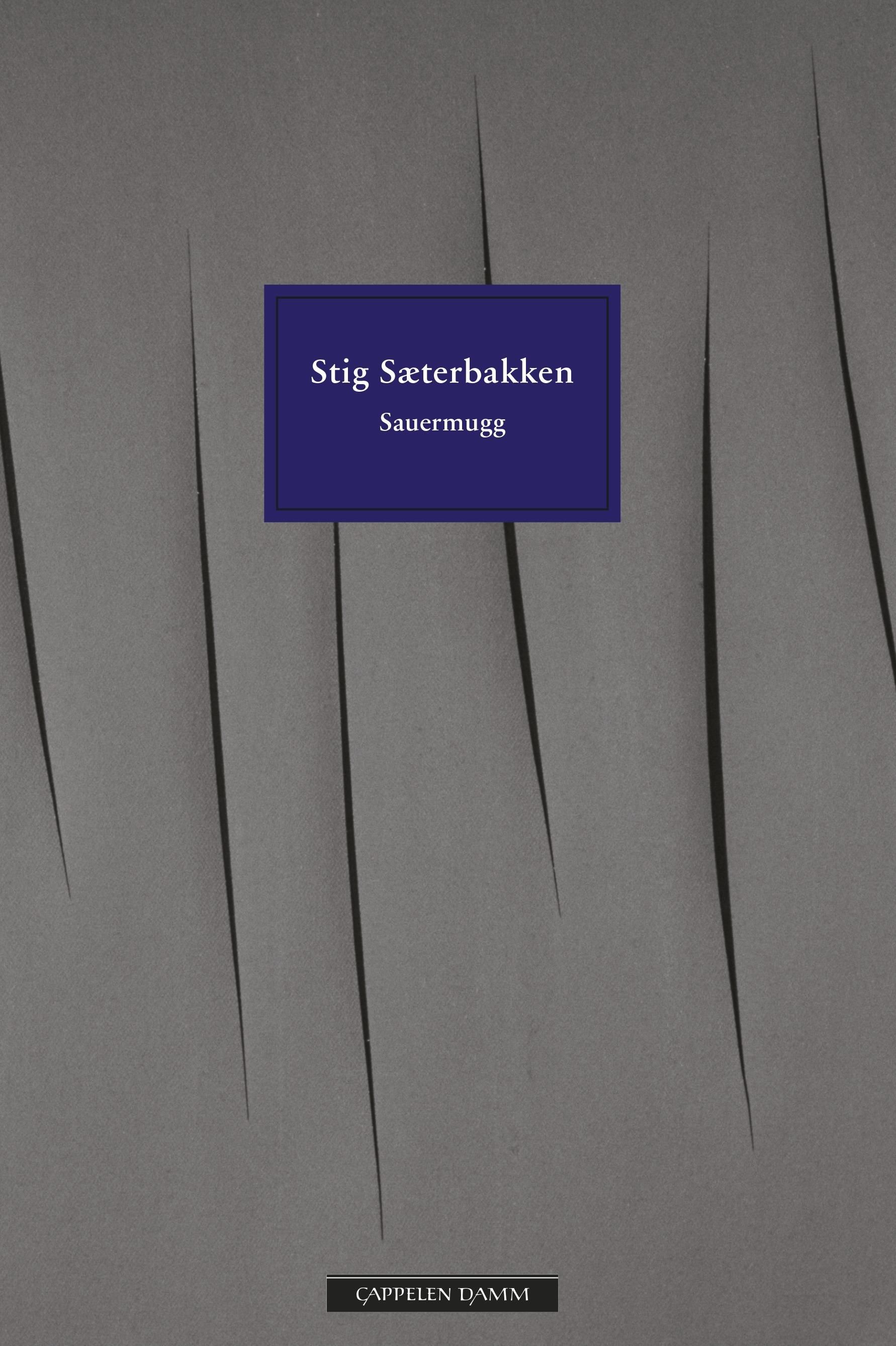 "Sauermugg" av Stig Sæterbakken