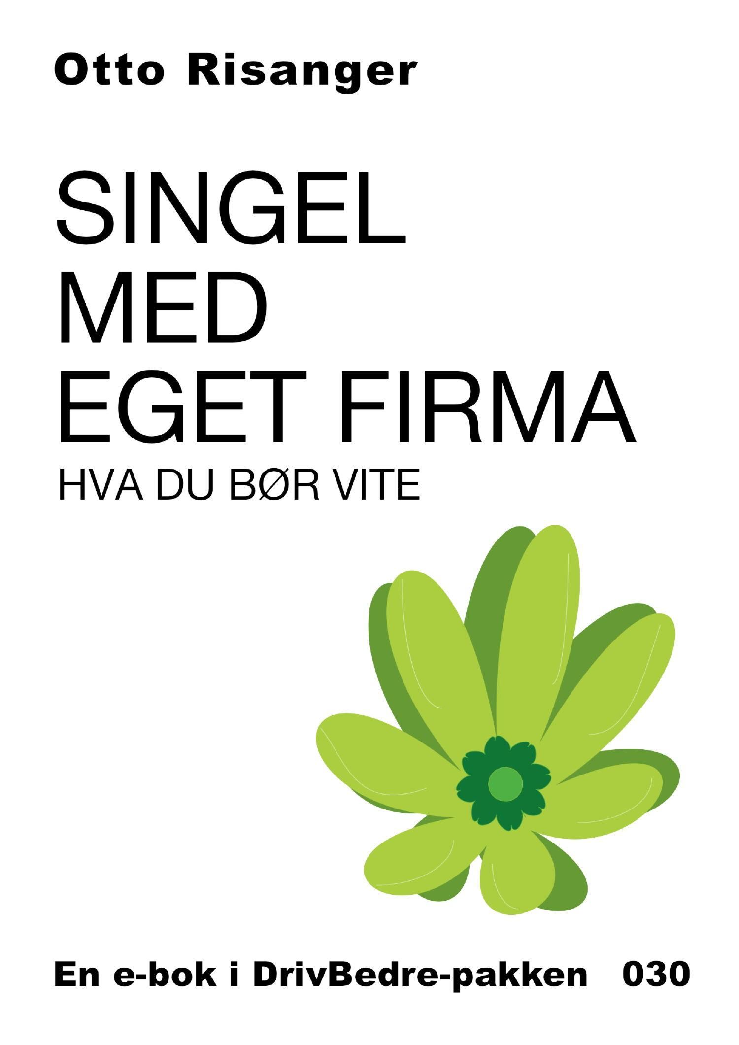 "Singel med eget firma - hva du bør vite" av Otto Risanger