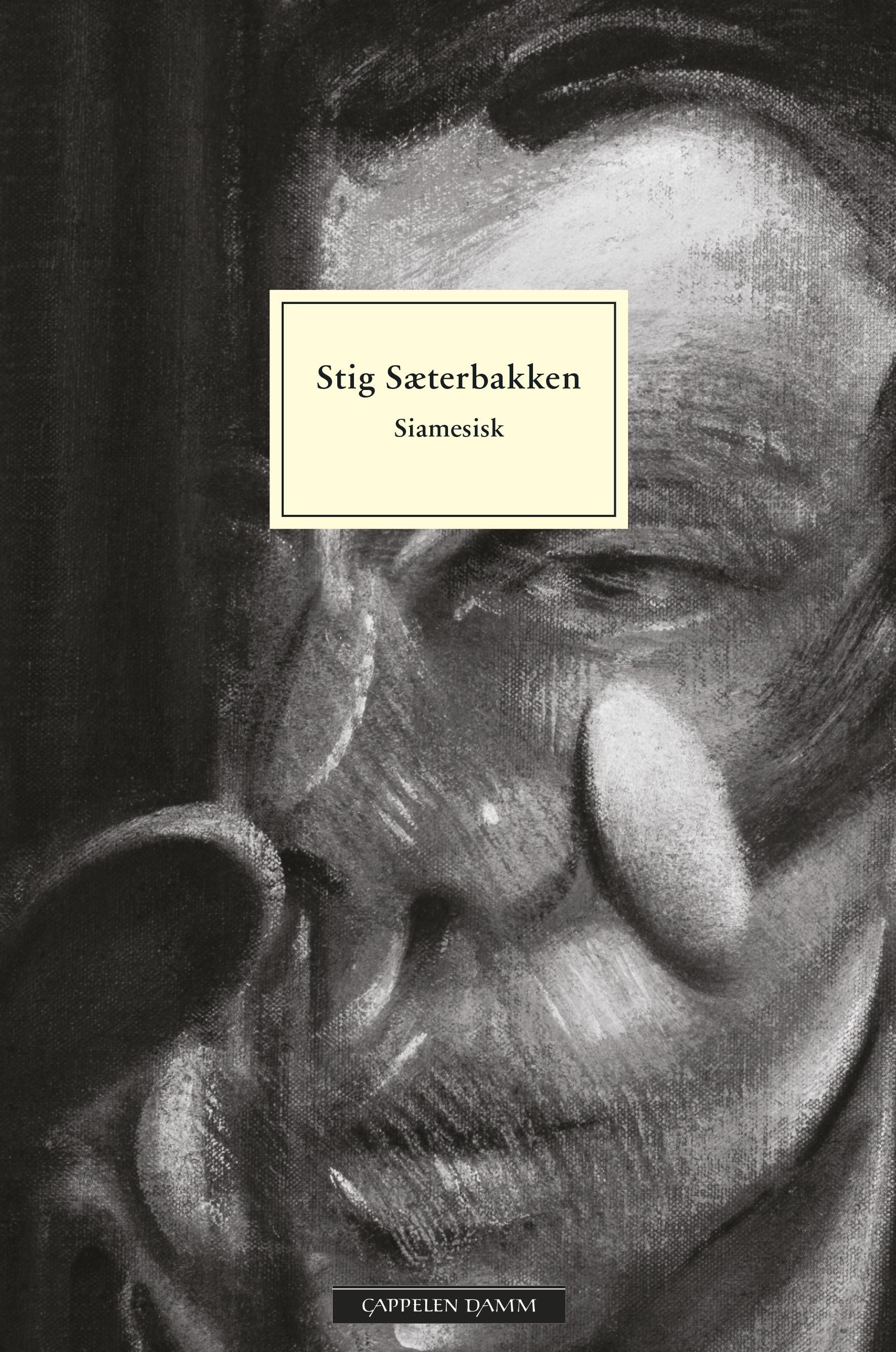 "Siamesisk" av Stig Sæterbakken