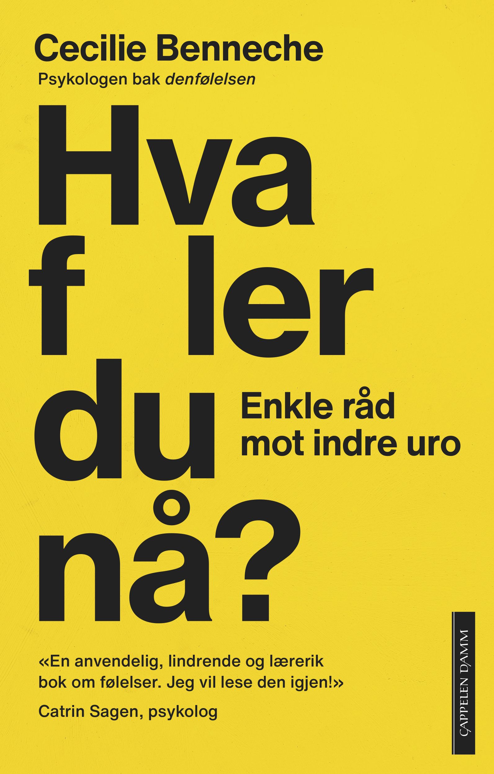 "Hva føler du nå? - enkle råd mot indre uro" av Cecilie Benneche