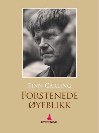 "Forstenede øyeblikk" av Finn Carling