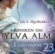 "Vinterstorm" av Ida S. Skjelbakken