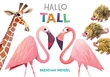 "Hallo tall" av Brendan Wenzel