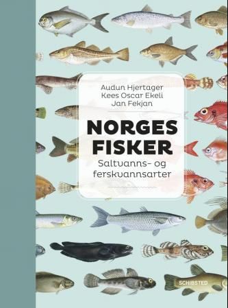 "Norges fisker - saltvanns- og ferskvannsarter" av Audun Hjertager