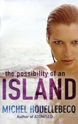 Omslagsbilde av The possibility of an island