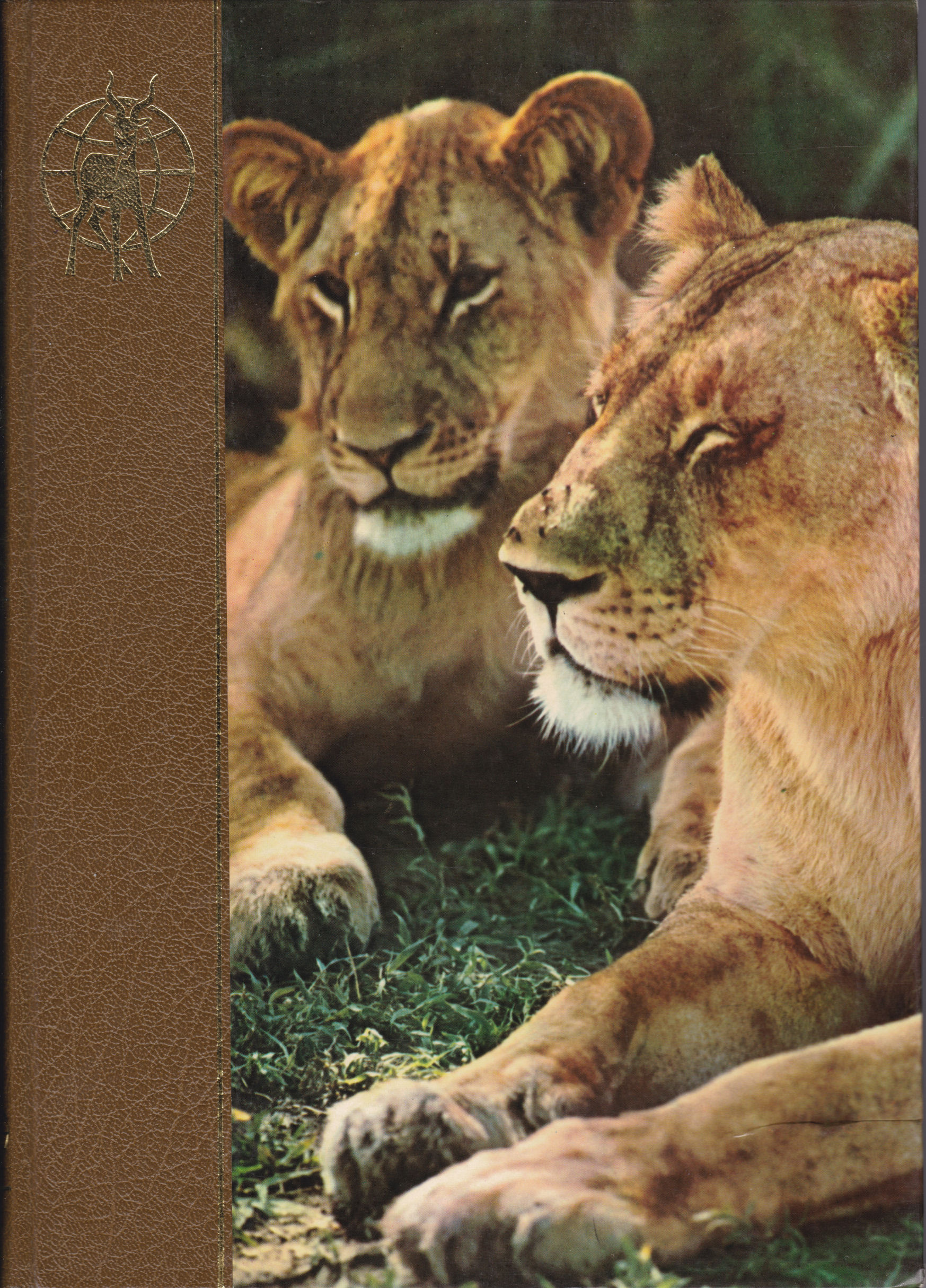 "Afrika 1 - Allverdens fauna, bind 1" av Dr. Felix Rodriguez de la Fuenta