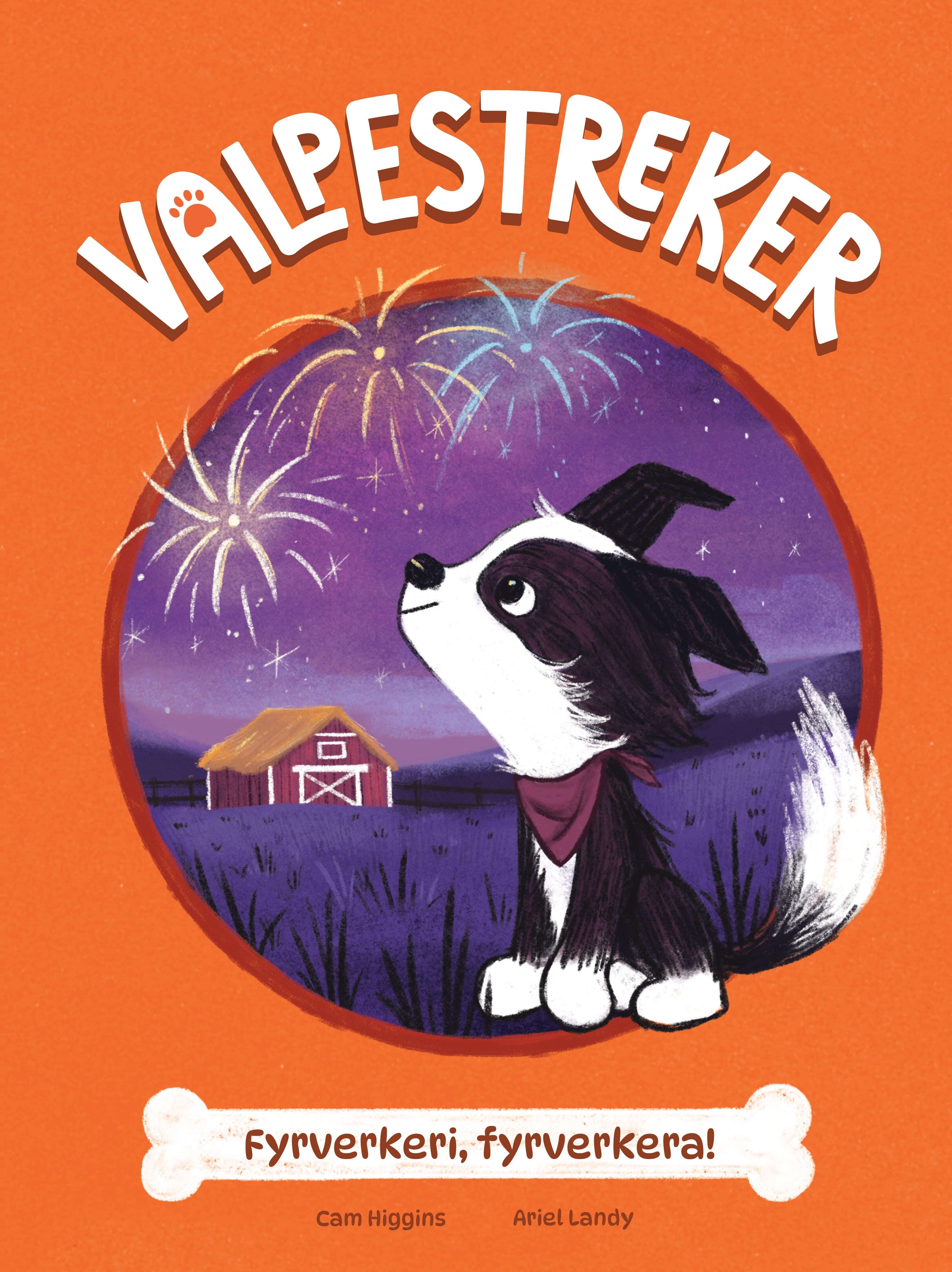 "Fyrverkeri, fyrverkera!" av Cam Higgins