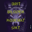 "Moderat sikt" av Brit Bild√∏en